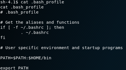 Fristileaks Privesc - Bash Profile Contents
