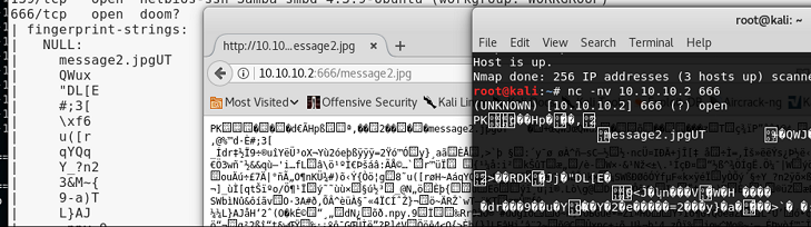Stapler Vulnhub Target Discovery - TCP Port 666